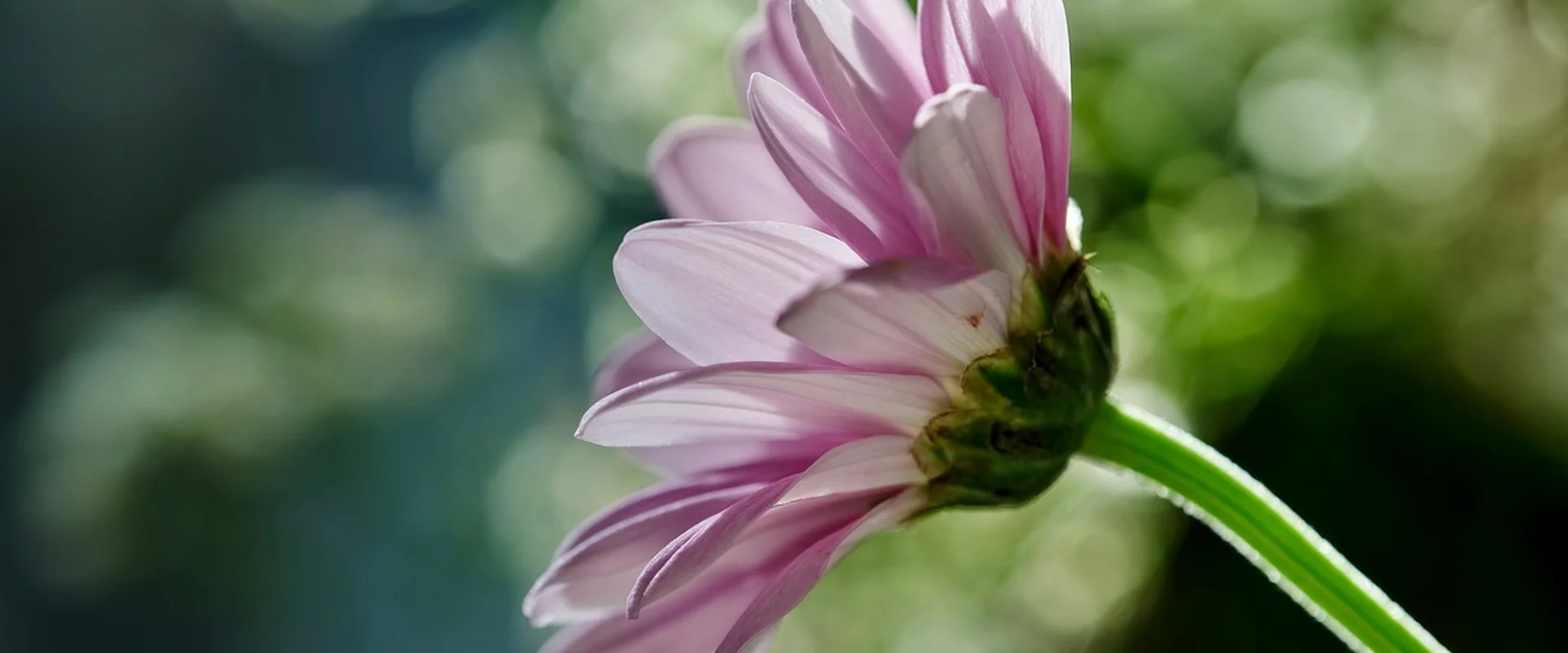 壹号娱乐娱乐平台